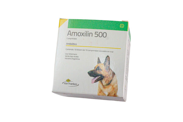 AMOXICILINA 500 MG BLISTER