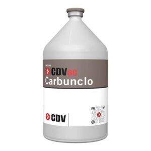 CARBUNCLO CDV X 125 DS