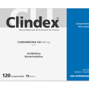 CLINDEX 400 MG BLISTER