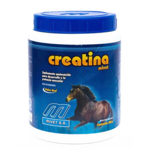 CREATINA MIVET X 1 KG