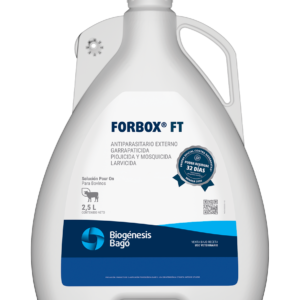 FORBOX FT x 5