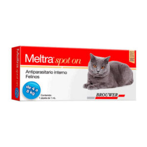 MELTRA SPOT ON 8 KG gato