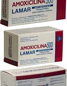 AMOXICILINA 500 MG BLISTER