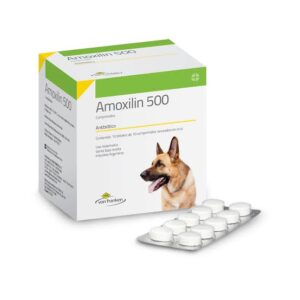 AMOXILIN 500 von franken BLISTER