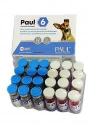 PAUL 6 QUINTUPLE