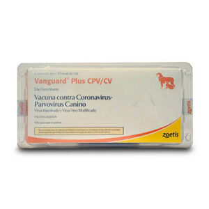 VANGUARD CPV + CV