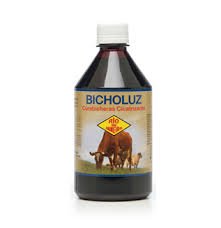BICHOLUZ X 250 CC
