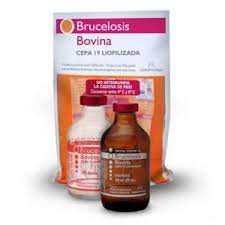BRUCELOSIS 1 DS AGROPHARMA