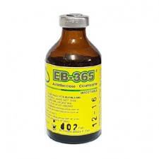EB 365 X 50 CC