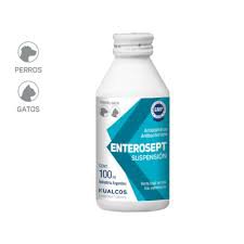 ENTEROSEPT JARABE X 100 CC