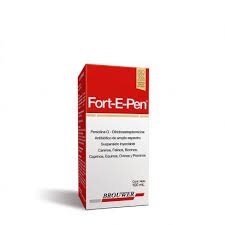FORT-E-PEN
