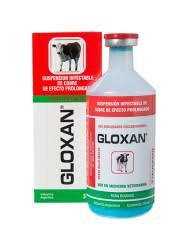 GLOXAN X 248 CC