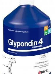 GLYPONDIN 4 X 250 CC