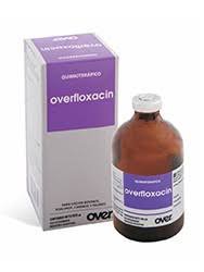 OVERFLOXACIN X 100 CC