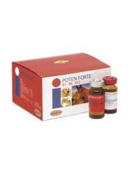 POTEN FORTE
