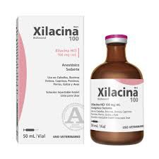 XILACINA 100 MG X 50 CC RICHMOND