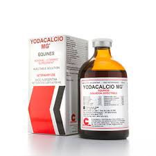 YODACALCIO M6 X 100 CC