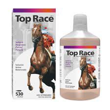 TOP RACE
