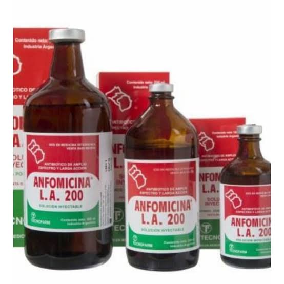 ANFOMICINA LA X 100 CC