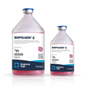 BIOPOLIGEN Q X 20 DS