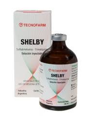 SHELBY