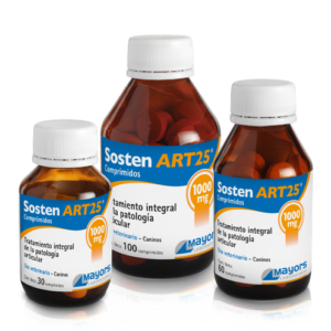 SOSTEN ART 25 X 30 COMP.