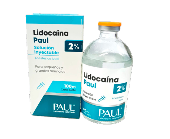 LIDOCAINA PAUL 2% X 100 ML